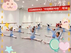 -飞童凡响艺术学校(松江区九里亭校区)