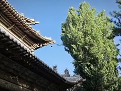 -张掖大佛寺景区