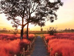 -汉长安城未央宫国家考古遗址公园