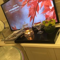 -奥斯芬·欧系贵族SPA