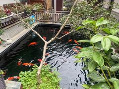 -华庭苑农家乐(旺山店)