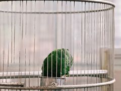 -厦门园林博览苑