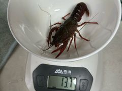 -永辉超市(龙湾万达店)