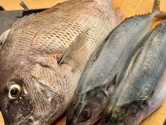 -鳥喜Toriki怀石烧鸟料理