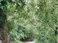 -云岫谷游猎自然风景区