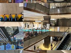 -港汇恒隆广场