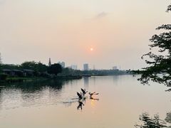 -海珠湖公园