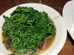 -老瑞福上海菜(人民广场店)