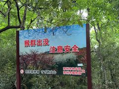 -苏州上方山国家森林公园