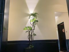 -涟LIAN·泰式按摩·MASSAGE·SPA(深业上城店)