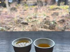 -雪绿茶博物馆