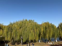 -南翠屏公园