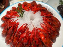 -杨氏青龙虾·羊蝎子(金盛路总店)