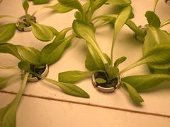 -鲜果时光(合生汇购物中心店)