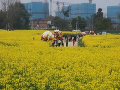 -三圣花乡旅游区