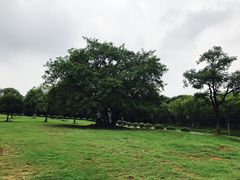 -南京市江宁方山