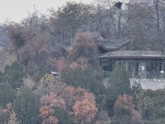 -马三洋芋片(兰州总店)