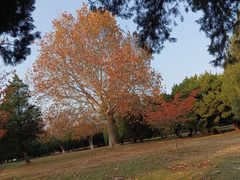 -旅顺留声机博物馆