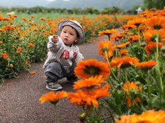 -长兴太湖图影湿地文化园