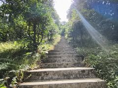-广州市帽峰山景区