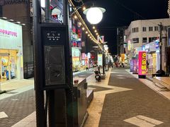 -宝健路步行街(Pedestrian Shopping Street)