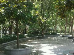 android_upload_pic-蠡湖中央公园