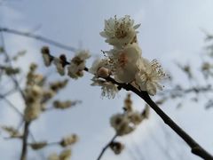 -大雁塔北广场音乐喷泉