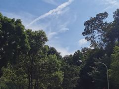 -天鹿湖森林公园