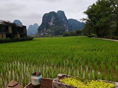 -明仕田园