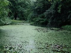 -杭州植物园
