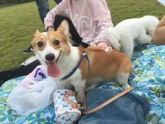 -杭州城北体育公园