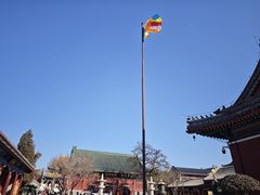 -天津大悲禅院