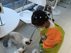 -怪兽屋·羊驼·猫咖·狗咖(俊华广场店)