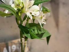 -一坐一忘云南菜(三里屯店)