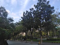 -映月湖公园