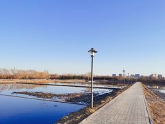 -大兴滨河森林公园