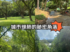 -东莞市大岭山森林公园