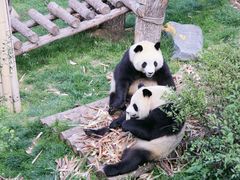 -青藏高原野生动物园