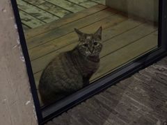 -The V泽惟·低温慢煮料理