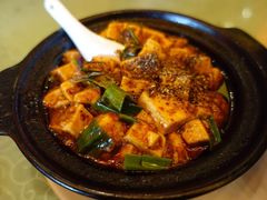 陈麻婆豆腐-陈麻婆豆腐总店