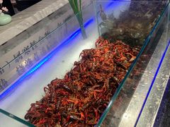 -圣罗巴海鲜烤肉自助(佳兆业店)