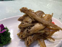 -金米箩大酒店(五角场店)