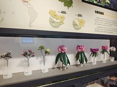 -四川大学博物馆