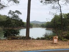 -红花湖景区