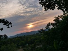 -上海市保健医疗中心