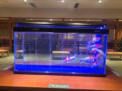 -大江户·温泉洗浴(浑南店)