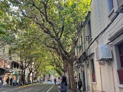 -村口大树(长乐路店)