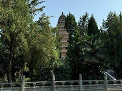 -洛阳白马寺