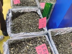 -中国农业博物馆