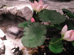 景观位-九炉分座(五彩店)